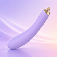 Eggplant Travel Freindly Rechargeable Vibrator