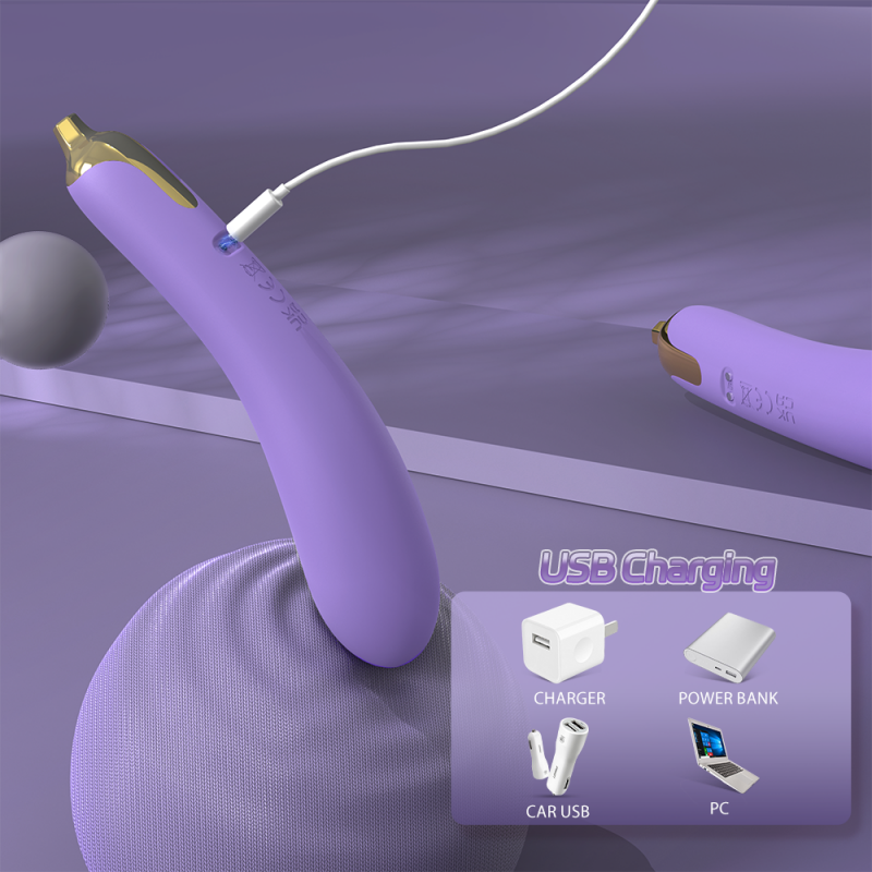 Eggplant Travel Freindly Rechargeable Vibrator
