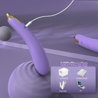 Eggplant Travel Freindly Rechargeable Vibrator