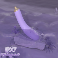 Eggplant Travel Freindly Rechargeable Vibrator
